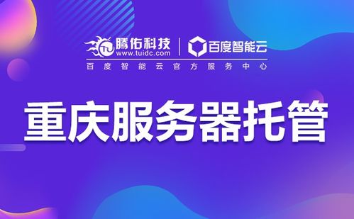 重慶服務器托管100M獨享帶寬價格及技術推廣服務詳解